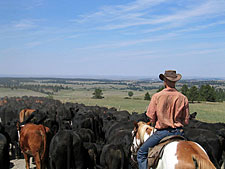 USA-Wyoming-New Haven Ranch
